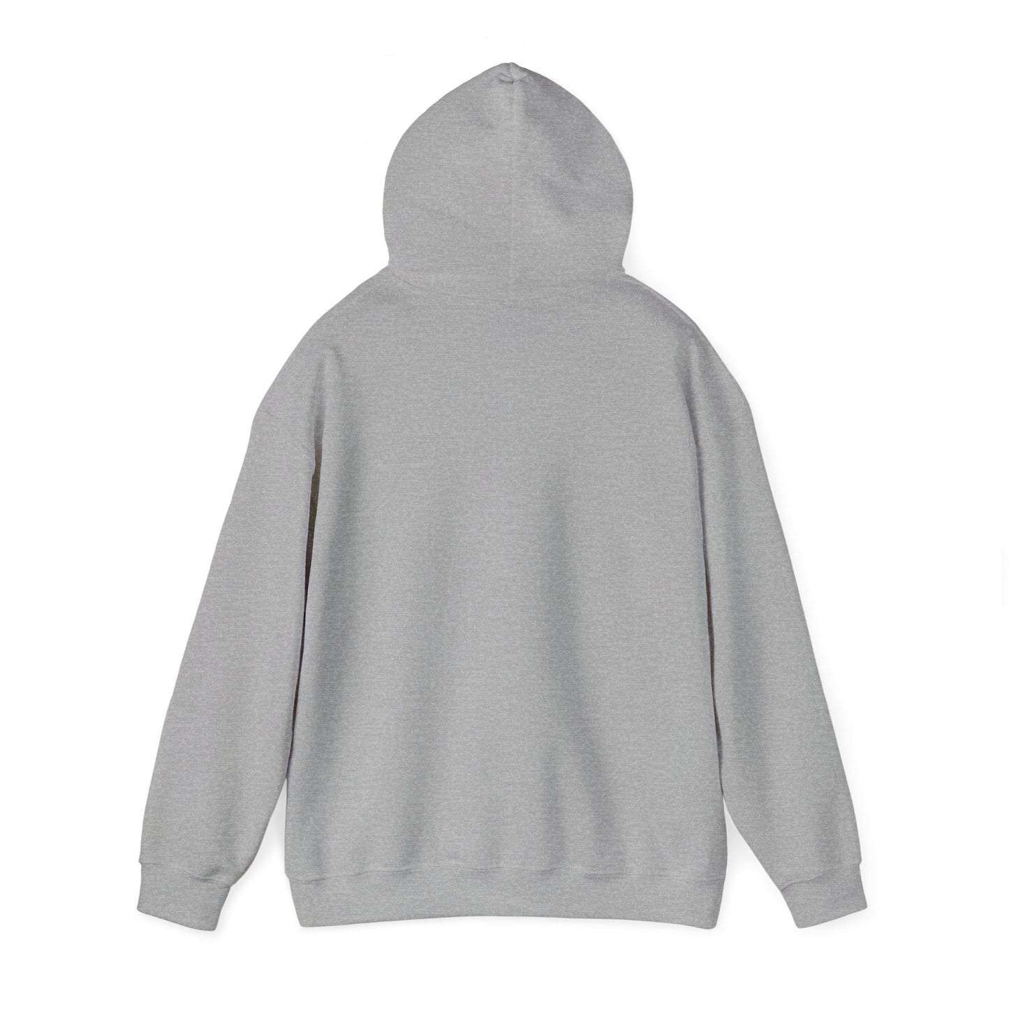 The Modern Hoodie